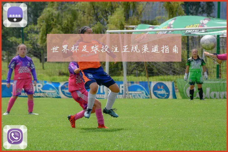 世界杯足球投注正规渠道指南