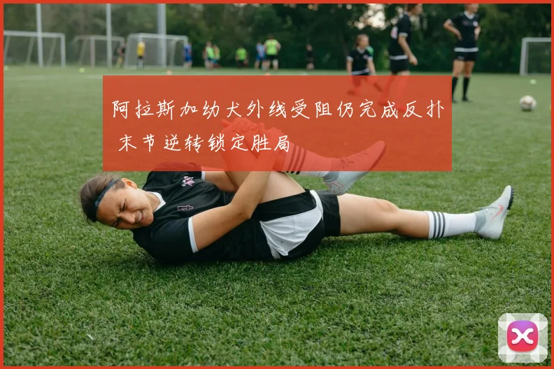 阿拉斯加幼犬外线受阻仍完成反扑 末节逆转锁定胜局