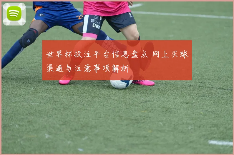 世界杯投注平台信息盘点 网上买球渠道与注意事项解析