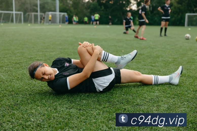 开云(中国)Kaiyun·官方网站 - 登录入口APP 封面图